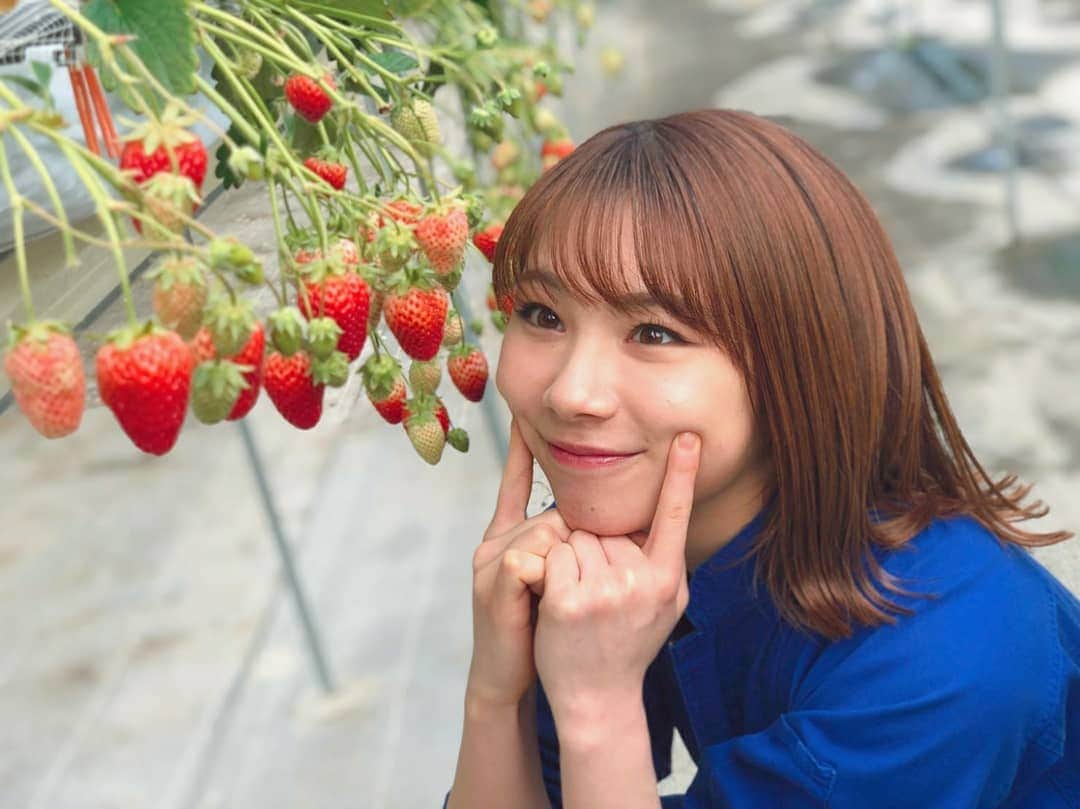 石田亜佑美のグルメインスタ