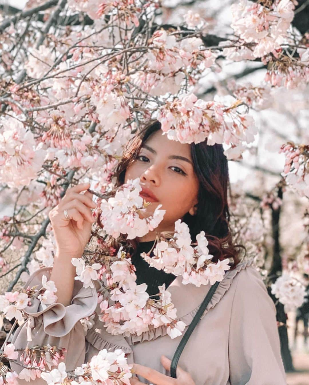 VIENNAさんのインスタグラム写真 - (VIENNAInstagram)「It’s Spring !!! Even we can’t do a picnic this year but cherry blossoms are always amazing🌸 ・ ・ ・ #travel#like4like#follow4follow#followforfollow#travel#trip#diet#sexy#likeforlike#makeup#tagsforlikes#f4f#vsco#lightroom#コーデ#おしゃれさんと繋がりたい#ボブ#ダイエット#写真好きな人と繋がりたい#cherryblossoms#sakura#新宿御苑#桜#花見#新宿#東京#shinjukugyoen」3月27日 21時43分 - viennadoll_official