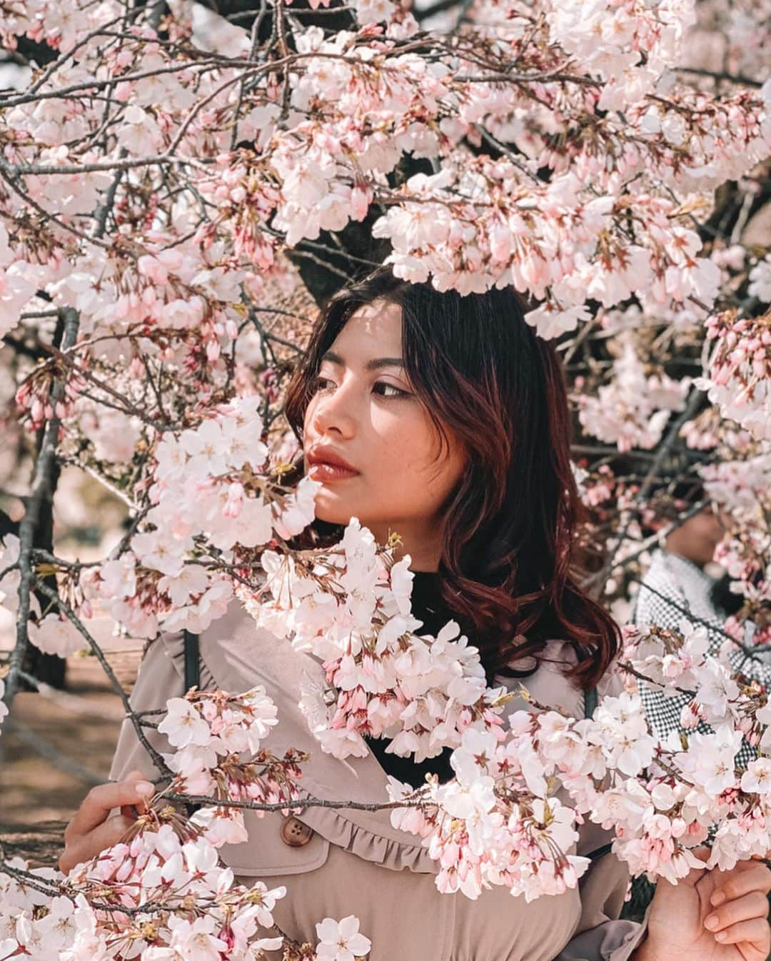 VIENNAさんのインスタグラム写真 - (VIENNAInstagram)「It’s Spring !!! Even we can’t do a picnic this year but cherry blossoms are always amazing🌸 ・ ・ ・ #travel#like4like#follow4follow#followforfollow#travel#trip#diet#sexy#likeforlike#makeup#tagsforlikes#f4f#vsco#lightroom#コーデ#おしゃれさんと繋がりたい#ボブ#ダイエット#写真好きな人と繋がりたい#cherryblossoms#sakura#新宿御苑#桜#花見#新宿#東京#shinjukugyoen」3月27日 21時43分 - viennadoll_official