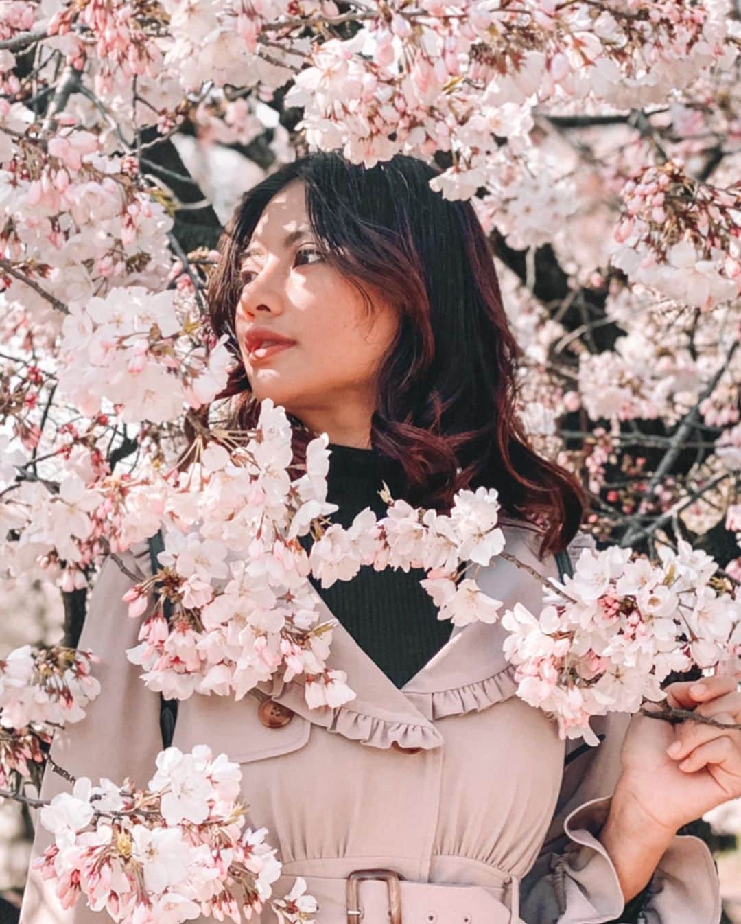 VIENNAさんのインスタグラム写真 - (VIENNAInstagram)「It’s Spring !!! Even we can’t do a picnic this year but cherry blossoms are always amazing🌸 ・ ・ ・ #travel#like4like#follow4follow#followforfollow#travel#trip#diet#sexy#likeforlike#makeup#tagsforlikes#f4f#vsco#lightroom#コーデ#おしゃれさんと繋がりたい#ボブ#ダイエット#写真好きな人と繋がりたい#cherryblossoms#sakura#新宿御苑#桜#花見#新宿#東京#shinjukugyoen」3月27日 21時43分 - viennadoll_official