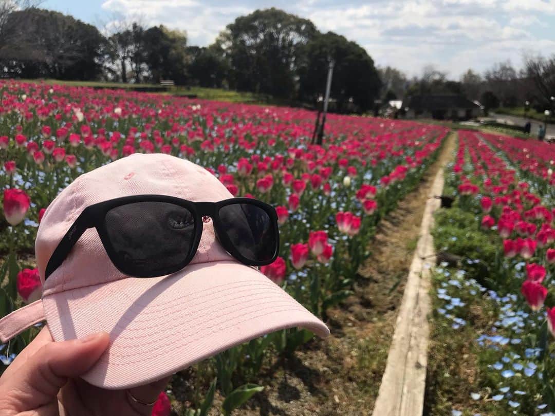 きゃっするひとみーさんのインスタグラム写真 - (きゃっするひとみーInstagram)「今日は黒の日。 . チューリップにネモフィラ。菜の花！！！たくさんのお花で癒されラン💐🌷🌹 . 梅雨があけたら向日葵もたくさん咲く！！ . 日差しが気になるから、 @goodr_jp  の出番。この日は全身黒。帽子だけピンクで😎❤️ . 皆さま、体調など大丈夫ですか？？ . わたしももれなくコロナ疲れです。。子供達のそばにいれるようにして、今週は子供達も少しましやったけど、夏休みみたいに楽しみがない長期休暇。なんかごめんねってなる。。絶賛みんなで太ってます。笑 少しでも皆さんが明るくなれるような発信していきたいなぁ🙇‍♂️と思うけど、なにができるのか。。 .」3月27日 21時52分 - takaxjumppp