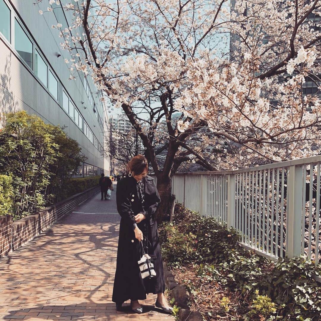 福吉 彩子さんのインスタグラム写真 - (福吉 彩子Instagram)「働くかあさんのお仕事コーデ まだ7分咲きだけど、出勤前後に撮った本日の桜、ご時世には関係なく変わらず咲いていて、尚更美しく感じます この週末は自宅で引きこもり、ゆっくり家族での時間を過ごする予定　 不要な外出を控えることが、早い解決につながりますように🙏 @naokookusa のフリマでゲットしたトレンチコートは、黒xロングだけど重くなり過ぎないマリンテイストがおきにいり！  tops&bottom #uniqlo coat #vermeilpariena  bag #enfas  #ワーママ #ワーママコーデ #働くかあさん  #プチプラコーデ #プリプラコーデ #Domani #ドマーニ #雑誌ドマーニ #Domanist  #domanimagazine #桜　#sakura」3月27日 21時50分 - fuku44aya