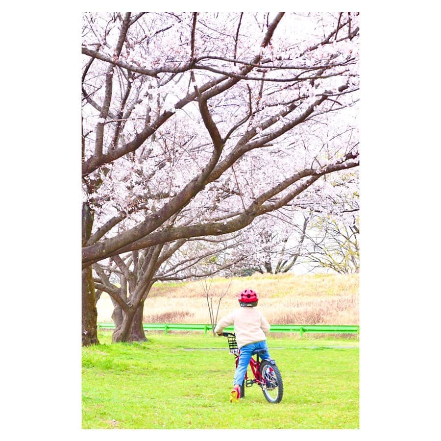 小林由佳さんのインスタグラム写真 - (小林由佳Instagram)「From this weekend  it's not allowed to see/enjoy cherry blossom anymore especially around TOKYO. ・ I was luck that even short time I could see cherry blossom my last day off. ・ so I would share such a beautiful view and share the spring🌸🦜 ・ 少し前だけど 少しだけ見られた桜と庭のどこかで鳴く鶯🌸¨̮」3月27日 22時13分 - yuca_tan
