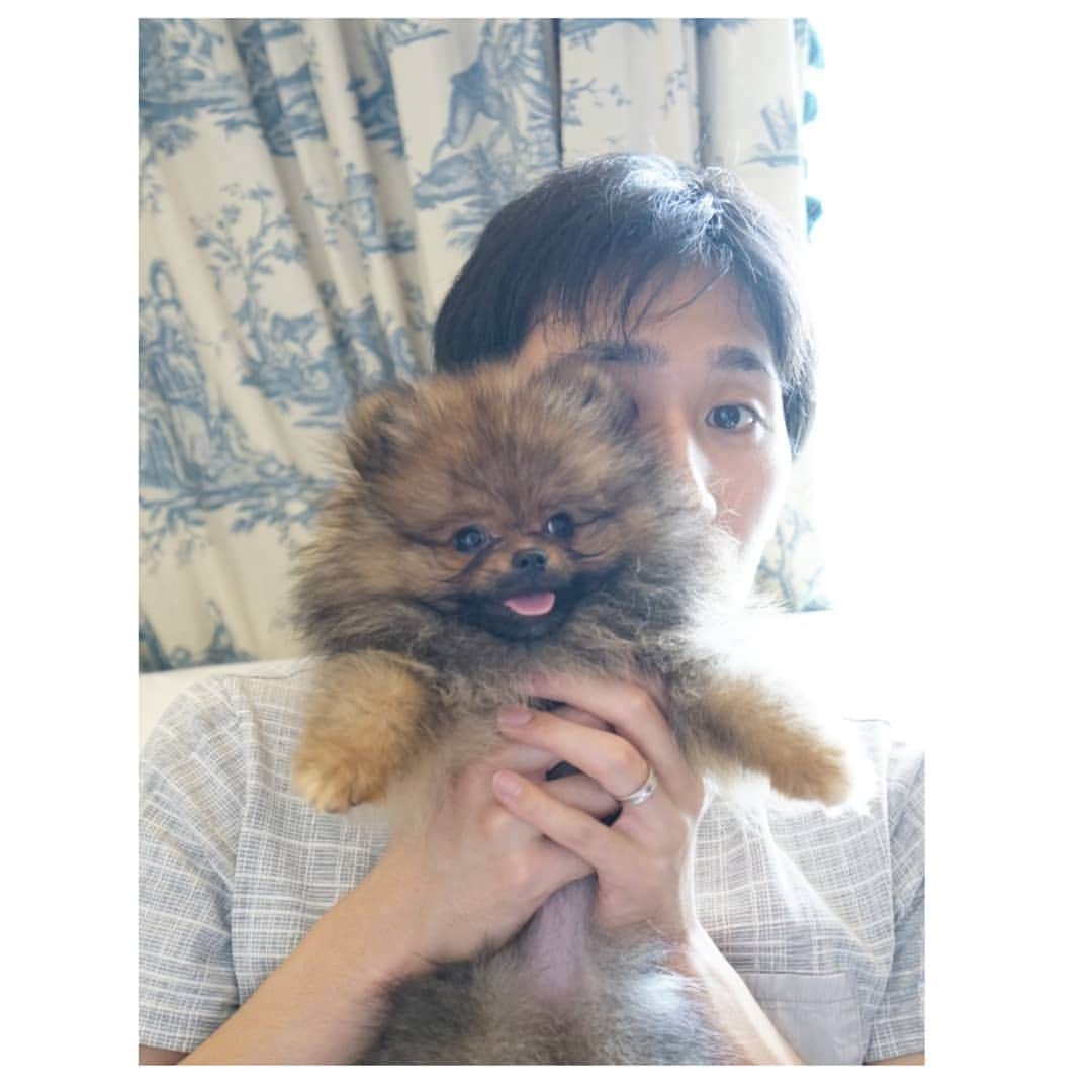 峯岸伽奈のインスタグラム：「. . . Our new family member have been here for a week. Her name is Popo.🐶 I created new account for popo. If you love dog or love my popo please follow‼! ぽぽが来て1週間が経ちました。 可愛すぎて可愛すぎて仕方ないです🐾 ぽぽの様子はぽぽアカウント作ったので是非そちらをフォローして下さい🙏  @popo_the.pom  #pomeranian #pomestagram #pompuppy #puppy #puppylove #orangepomeranian #mybabys #ポメラニアン #ぽめらにあん #ぽめすたぐらむ」