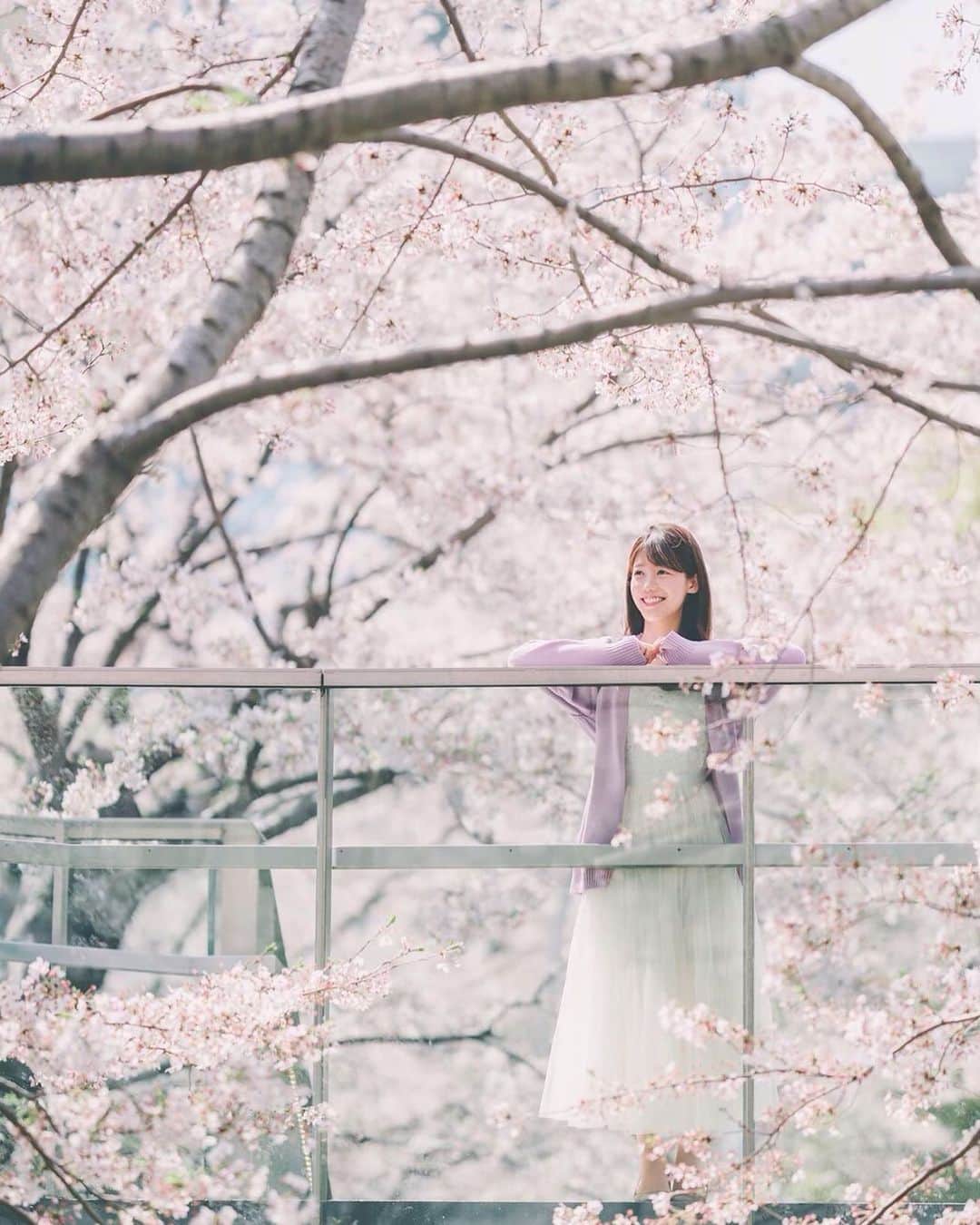 丸山裕理のインスタグラム：「. 去年の桜 . Hundreds of cherry trees are a reminder to take a deep breath and look for the beauty around you, whatever form it may come in.  Stay safe and healthy. . #cherryblossom #artofjapan  #stayhome #istayhomefor #japantravel #lovers_nippon #team_jp_portrait #daily_photo_jpn  #nipponpic #lovers_nippon_portrait  #japan_of_insta #discovertokyo  #jp_mood #jp_portrait部 #art_of_japan_ #tokyocameraclub #impression_shots #写真好きな人と繋がりたい #アナウンサー #東京カメラ部 #桜 #お花見 #桜並木 #桜2019」
