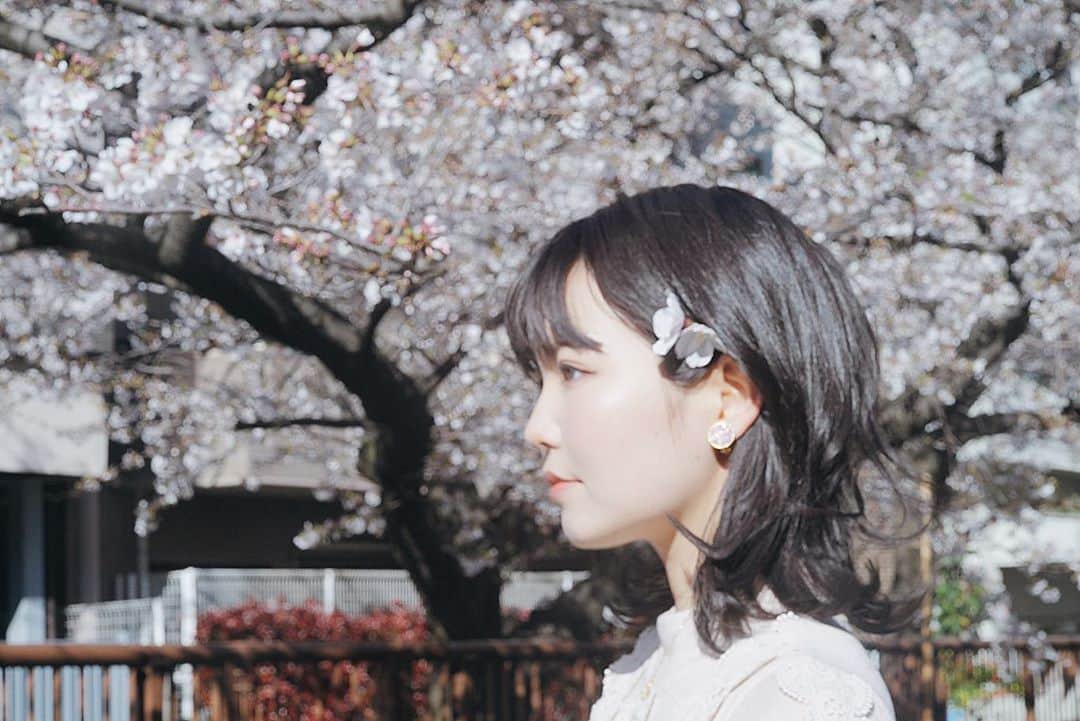 九条ねぎ あぴるさんのインスタグラム写真 - (九条ねぎ あぴるInstagram)「My sister filmed.🌸 写真が趣味の妹が撮影してくれたよ☺️自然な表情のねぎ  #桜　#japanesegirl #cherryblossom #japanesecherryblossom #portrait」3月27日 23時25分 - negi_kujyo