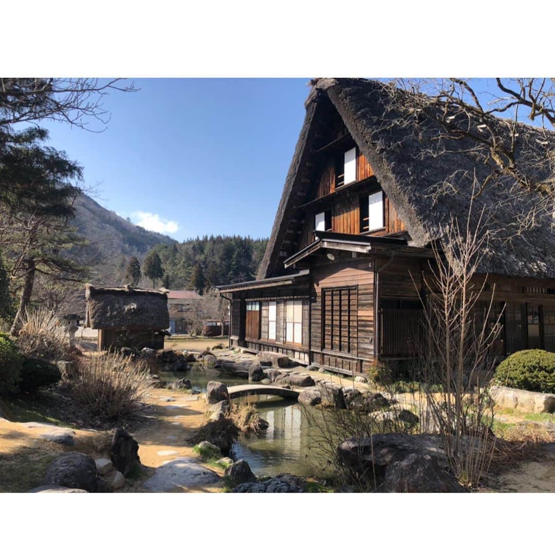 沖玲奈さんのインスタグラム写真 - (沖玲奈Instagram)「すこし前の金沢〜白川郷〜飛騨〜長野の時の写真や女子会、お祝いの会など🍣🍎🥂直近のものではなく、時系列はかなりバラバラです。笑 旅行はまだ寒かったけど、どこも落ち着いた街並みでゆっくり出来て最高だった♨️ 長野の穂高にある #chilloutstylecoffee は店内の香りと深めのソファー×カウンターが居心地良過ぎたので、また行きたいな☕️🌿 お客さんもいっぱいでした👨‍👩‍👧💫 . そして先日の久々の10kmの記録も付けておいた🤣🌟走り込んでた時期と比べたら、やっぱスピードは出にくくなってる。。😯節制しないとw 落ち着いたらまたレースも沢山出たいなー🏃‍♀️今は出来る限りのことをしておこう✨体幹と脚は宅トレで出来る💪w #国内旅行 #金沢 #ひがし茶屋街 #白川郷 #北陸 #長野 #安雲野 #旅ラン #女子会 #ランニング #workout #trip #running」3月27日 23時27分 - reinaoki2508
