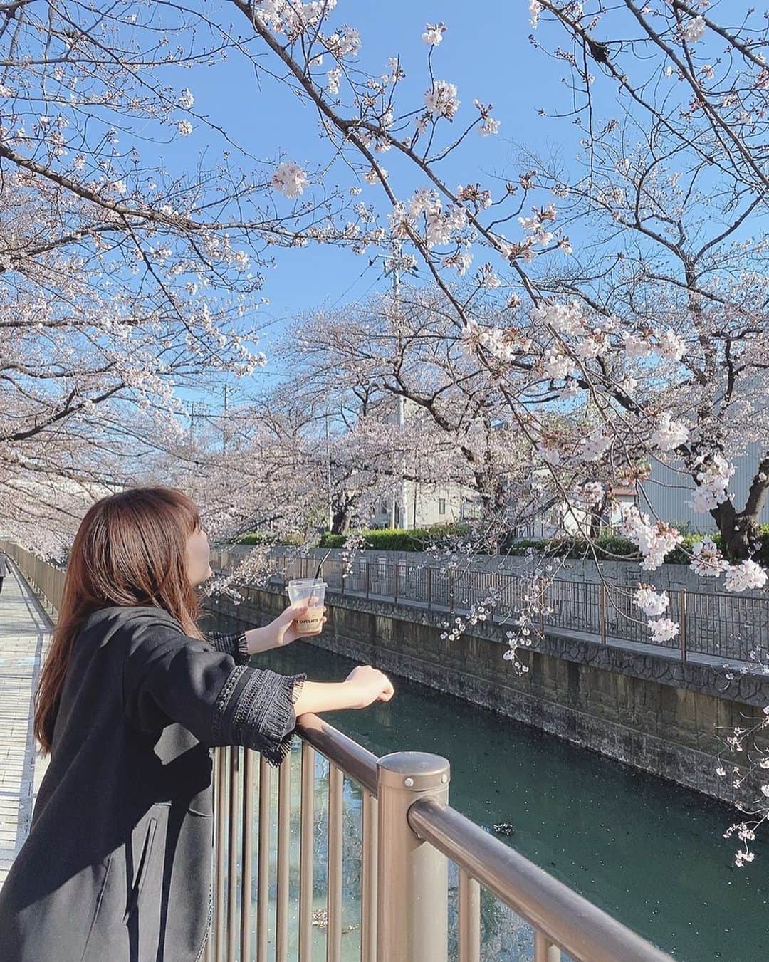 渡辺優奈さんのインスタグラム写真 - (渡辺優奈Instagram)「桜🌸  コロナの騒ぎで凄いけど春なんだなぁあって実感してきました。  毎年おばあちゃん連れて行くんだ☺️ セブンのカフェラテ美味しいよね。」3月28日 0時14分 - una__0106_