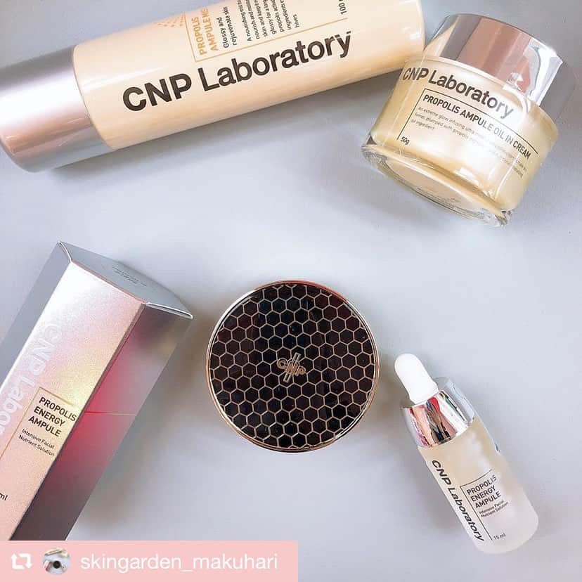 SKINGARDEN［スキンガーデン］さんのインスタグラム写真 - (SKINGARDEN［スキンガーデン］Instagram)「CNP Laboratory﻿ 《PROPOLISシリーズ》﻿ ﻿ 大人気の #CNP #PROPOLIS シリーズ🐝💊﻿ ﻿﻿ 是非店頭にてお試しください🧡﻿ ﻿ ﻿ #skingarden #スキンガーデン #新大久保 #g9skin #韓国 #韓国コスメ#人気コスメ #CNP #cnplaboratory #씨앤피 프로폴리스 #앰플 #쿠션 #スキンケア #オルチャンメイク#化粧水 #美容液 #乳液 #クリーム #乾燥肌#幕張 토너 #에센스 #에멀전 #한국 #한국메이크업 #쿠션파운데이션 #클리오 #좋아요」3月28日 12時59分 - skingarden.jp