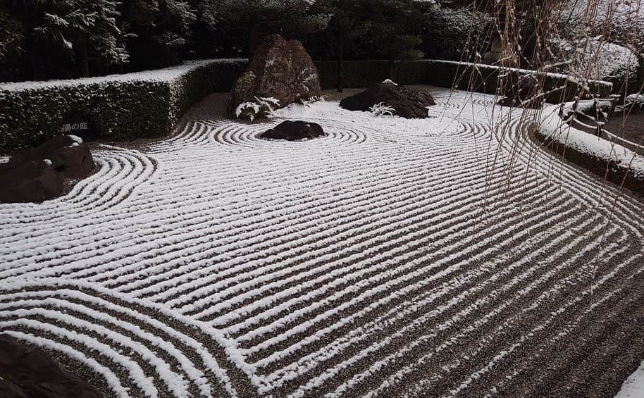 村雨辰剛さんのインスタグラム写真 - (村雨辰剛Instagram)「妙心寺退蔵院にある陽の庭の砂紋引きをやらせて頂きました。翌日には雪が積もって砂紋がきれいに化粧されました。  是非今日の世界ふしぎ発見で見てください！ 放送は今夜9時〜です！ #砂紋　#世界ふしぎ発見」3月28日 13時21分 - tatsumasa.murasame