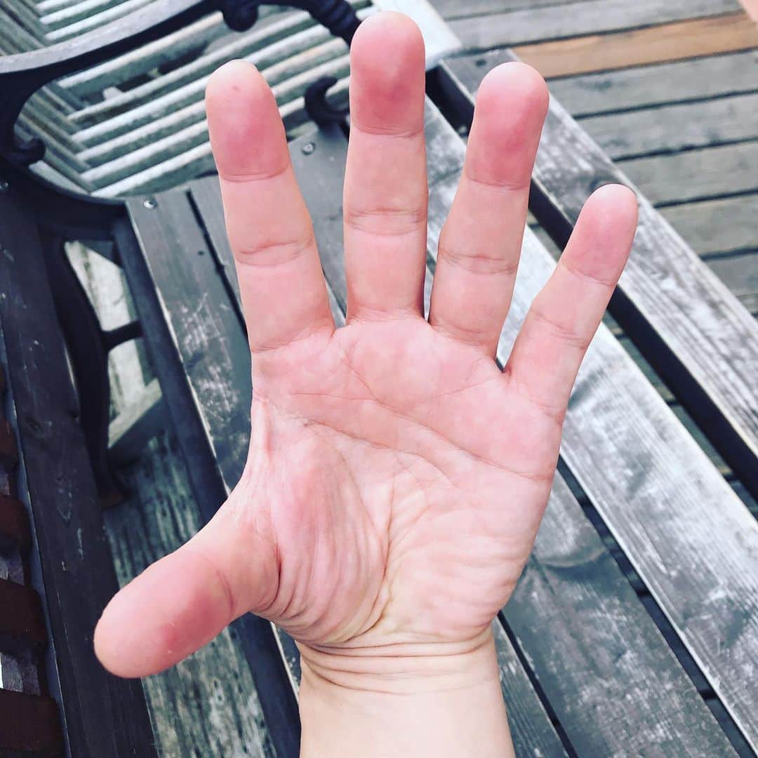 井手大介のインスタグラム：「きてます」