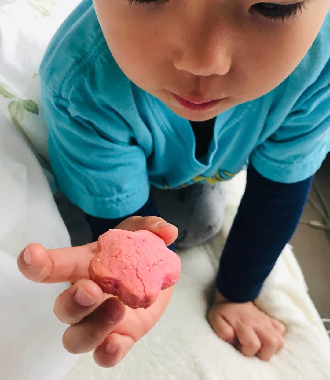 尾木直樹さんのインスタグラム写真 - (尾木直樹Instagram)「#「じいじ、美味しいよ。あげる！」#お孫ちゃんがクッキー🍪🍪作り一つくれました(^^) - #クッキー#４歳のお孫ちゃん#美味しい#上手#ありがとう😊」3月28日 14時04分 - oginaoki_ogimama