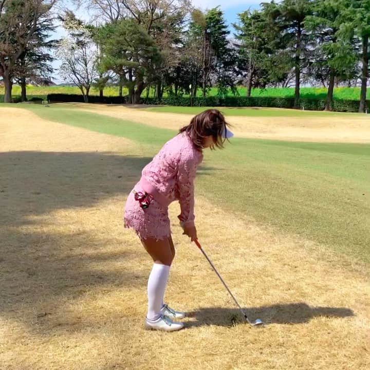 あおい夏海のグルメインスタ