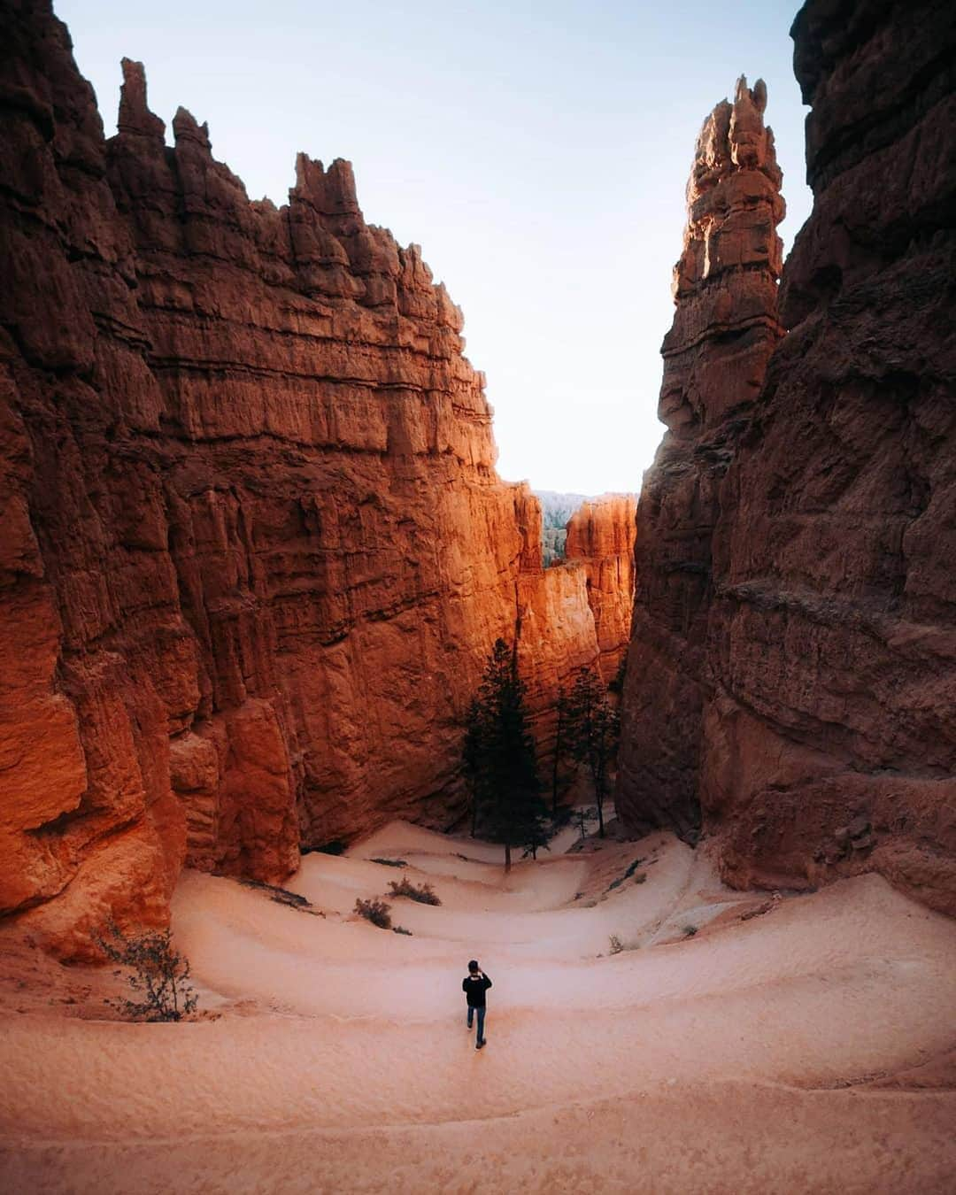 Visit The USAさんのインスタグラム写真 - (Visit The USAInstagram)「"Waking up in a different location every morning was one of the things I loved on my US road trip. I love how in the US, in just a few hours drive you can go from one landscape to a totally different climate." We are going on a virtual road trip to all the places you are dreaming about.💭🇺🇸 Have a story about your favorite trip to the USA? Tag us and use #UNITEDstories so we can make sure to stop at your favorite destination. 📷: @jpr.photos and @jamesxtheo #VisitTheUSA #TogetherInTravel」3月28日 6時31分 - visittheusa