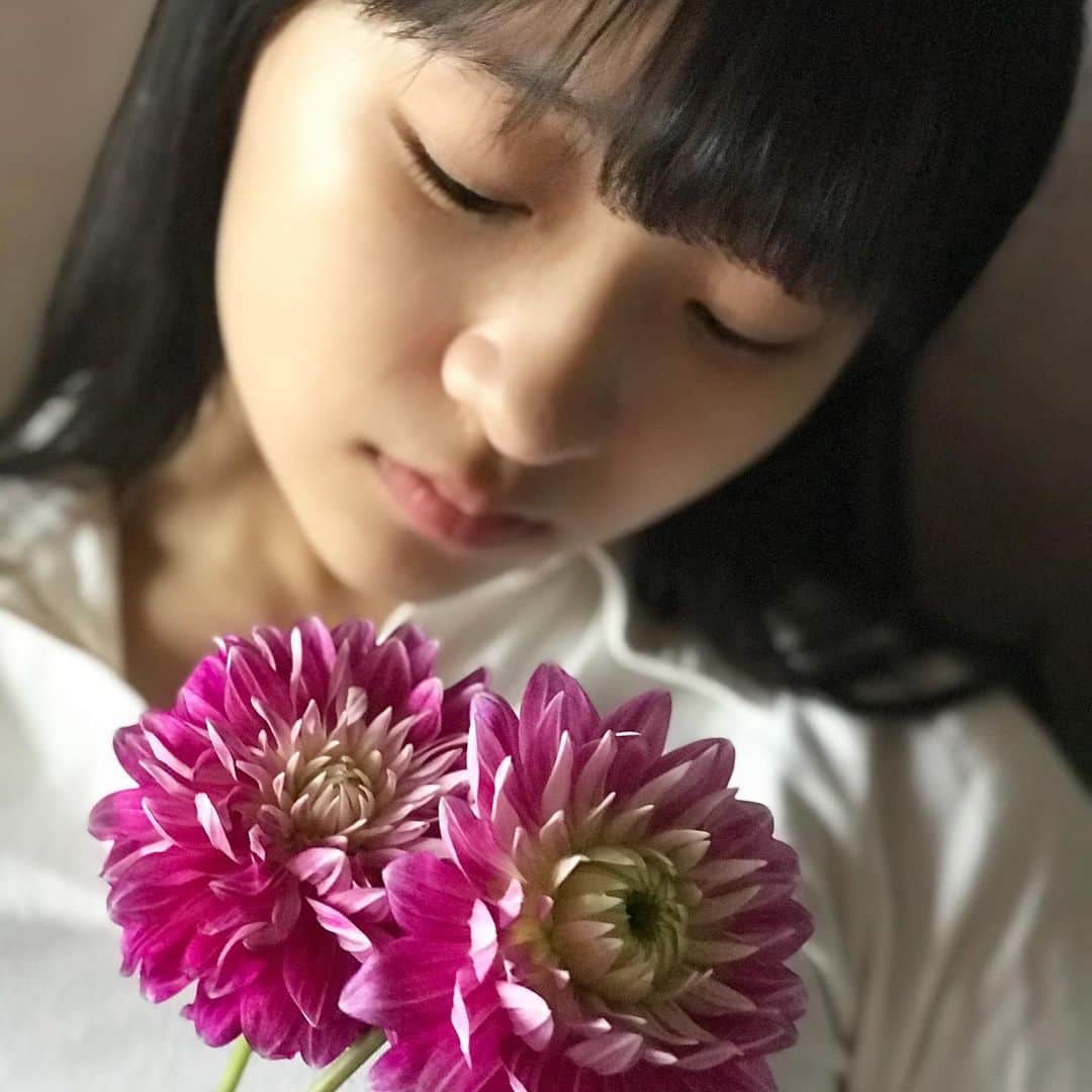 前野えまさんのインスタグラム写真 - (前野えまInstagram)「PINK DAHLIA💗 ・ ・ #ピンク #花 #ピンクの花 #ダリア #大輪の花 #花と私 #お花好きな人と繋がりたい #花のある暮らし #ポートレート #前野えま  #pink #flower #dahlia #bigflowers #beautiful #gorgeous #flowerstagram #flowerphotography  #followme #instafollow  #tagsforlikes #tflers #tagsforlikesapp #idol #actor #actress #girl #photography #portrait #portraitphotography」3月28日 7時16分 - maeno_ema