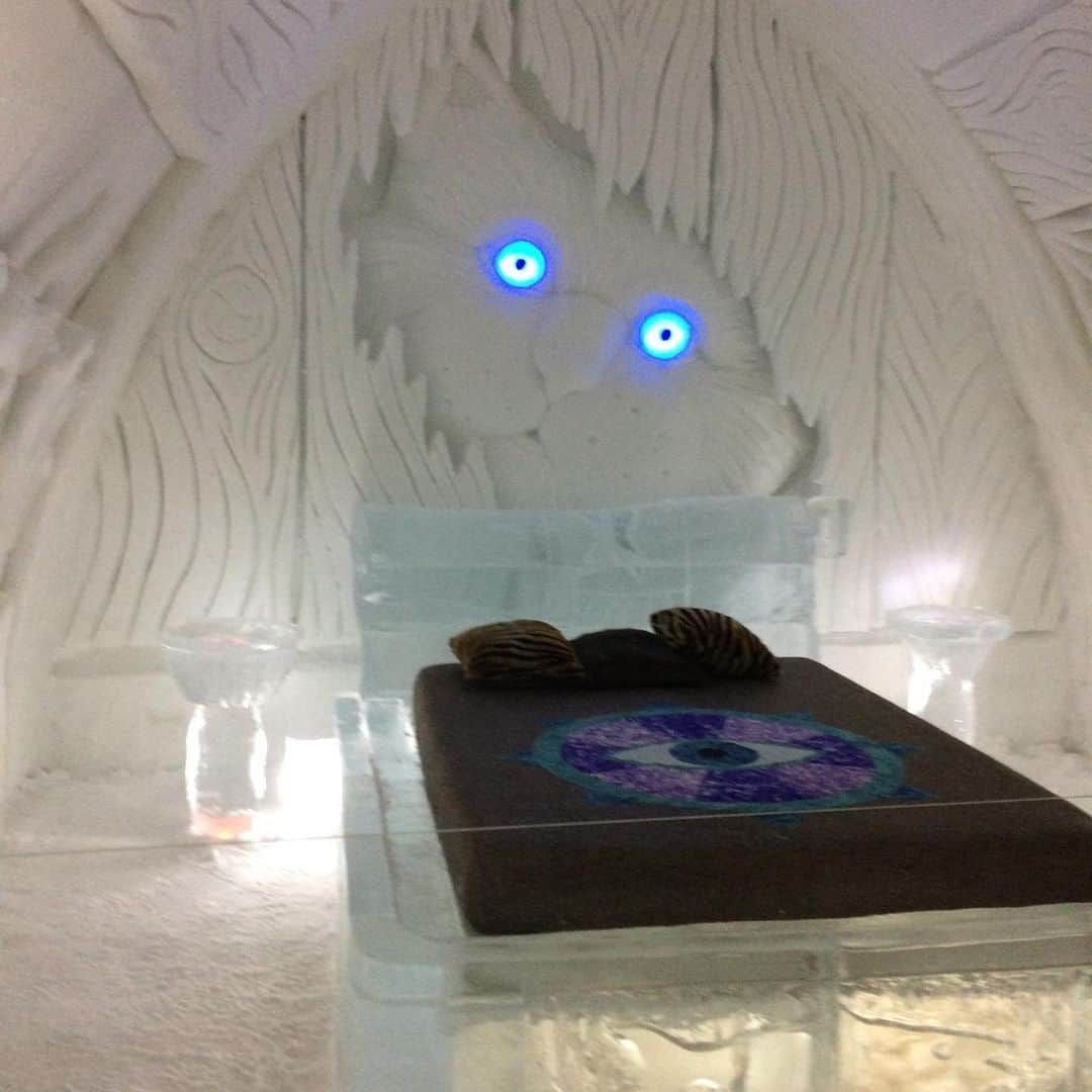 ラリー・ギリアード・Jrさんのインスタグラム写真 - (ラリー・ギリアード・JrInstagram)「That “Ice Hotel” trip with @jadon_gilliard @michaela_jolie & @michelleparessofficial ! Everything but the lights was literally made out of ice! Check one out if you never have! #winterbreak #icehotelquebec #quebec #quebeccity #travel #2020」3月28日 8時13分 - thereallgjr