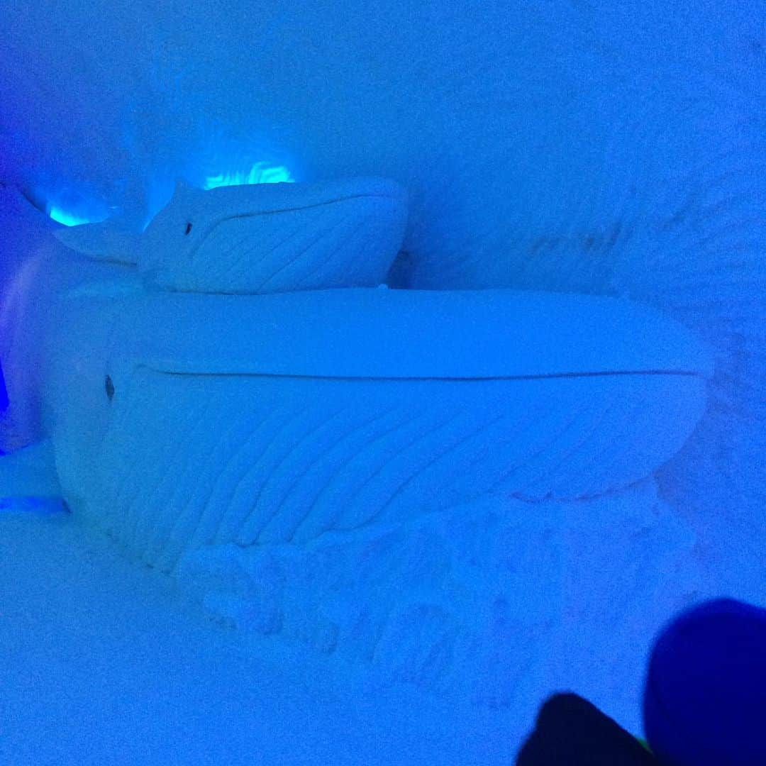 ラリー・ギリアード・Jrさんのインスタグラム写真 - (ラリー・ギリアード・JrInstagram)「That “Ice Hotel” trip with @jadon_gilliard @michaela_jolie & @michelleparessofficial ! Everything but the lights was literally made out of ice! Check one out if you never have! #winterbreak #icehotelquebec #quebec #quebeccity #travel #2020」3月28日 8時13分 - thereallgjr