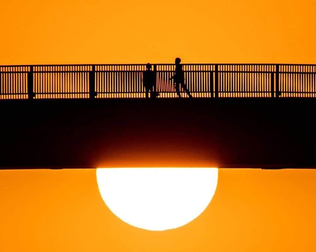 あなたのLOVE CHIBA教えてキャンペーンさんのインスタグラム写真 - (あなたのLOVE CHIBA教えてキャンペーンInstagram)「木更津にある日本一高い歩道橋　#中の島大橋 • 沈みゆく夕日をバックに、映画のワンシーンのように素敵な1枚ですね。ご投稿ありがとうございました！ • 【らぶちばseason8• @yuma.7000  さんの投稿】 • • 豪華プレゼントが当たる！ • 【あなたのLOVE CHIBA教えてキャンペーン 】 • キャンペーン終了まであと1週間！ • 3月31日応募〆です！ぜひご応募ください📷* • • • #lovechiba8 #らぶちば　#シルエット #木更津日和 #ちばとぴ #lovelovechiba #らぶちば8に応募 #千葉 #東京カメラ部 #Canon#6dmark2 #my_eos_photo #広がり同盟 #ig_japan #ap_japan_ #team_jp_ #pixlib_jp #ptk_japan #photo_jpn #japan_pics #japan_photo #daily_photo_jpn #camera_kitamura #tokyocameraclub #world_bestnight #raw_japan #ig_best_of_theday #lovers_nippon #phototal_japan #loveloveCHIBA」3月28日 9時12分 - love.love.chiba