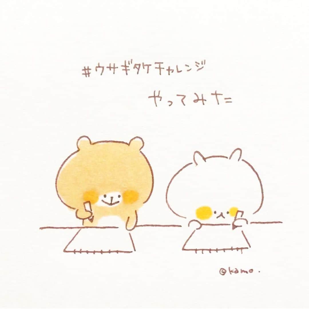 カモのインスタグラム