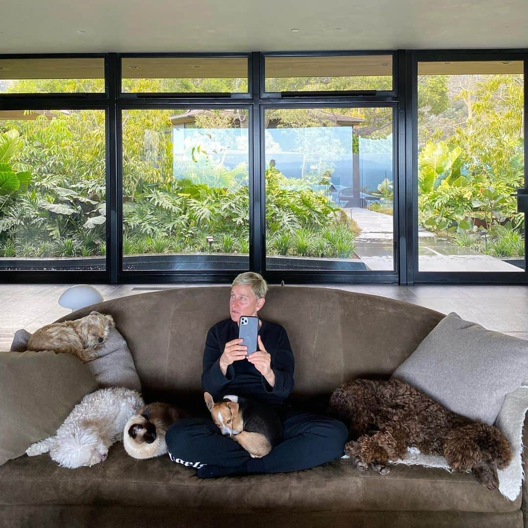 ポーシャ・デ・ロッシのインスタグラム：「animals...the best support system during this difficult time @theellenshow」