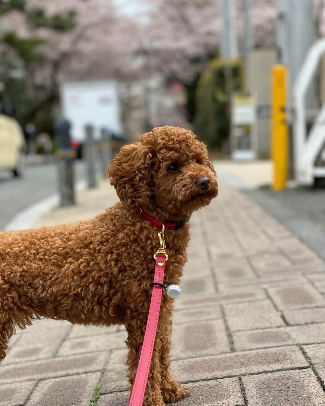 五味隆典のインスタグラム