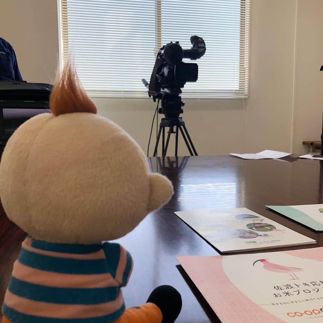 能登瑶子さんのインスタグラム写真 - (能登瑶子Instagram)「昨日三隅アナも投稿していましたが、 今夜7時から放送の『森永卓郎の元気情報'20』 今回私はコープぐんまにお邪魔しました(^^) コープぐんまが目指す子どもからお年寄りまで安心安全に暮らせる社会づくりとはどんなものなのか？ 答えは、今夜の放送で！( ^ω^ )✨ . #コープぐんま#sdgs#社会貢献活動#人に優しく#見習いたい#森永卓郎#元気#情報#久しぶり の#経済#リポーター#楽しかった😊#群馬テレビ#群テレ#アナウンサー」3月28日 11時44分 - noto.1281