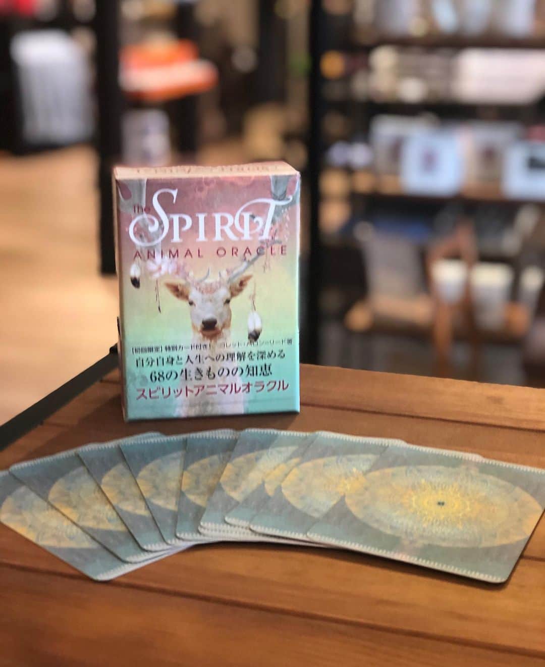 犬伏まりのグルメインスタ