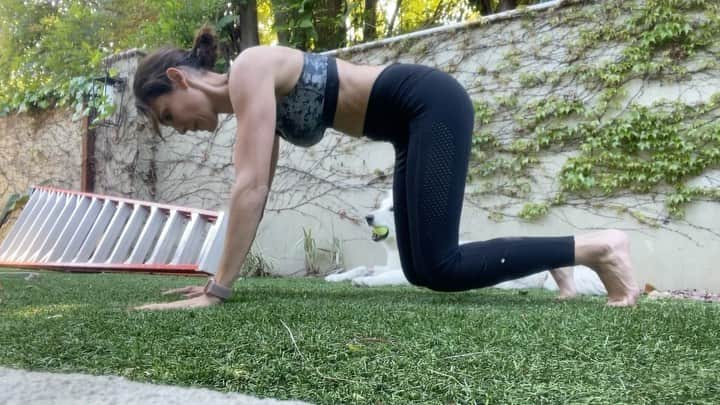 のインスタグラム：「Ran 1.5mi with the kids next to me on their scooters, dropped them off at home, and ran another mile. Here are a few of the exercises I did afterwards at home... as you can see, you can use anything including the pups 🐕 comment exercise suggestions if ya have any!👇🏼 . 💪🏻💪🏼💪🏽💪🏾💪🏿💪🏾💪🏽💪🏼💪🏻 . Primeiro corri 2.5km com os filhotes ao meu lado nos scooters e depois deixei-os em casa e corri mais 1.5km e aqui estão alguns exercícios que fiz a seguir em casa. Como vêem, qualquer coisa serve, incluindo os companheiros peludos 🐕 Postem sugestões de exercícios nos comentários!👇🏼 . #homeworkout #exercise #stayhealthy #quarantine #routine #ashthedog #whitegermanshephard #backyard」