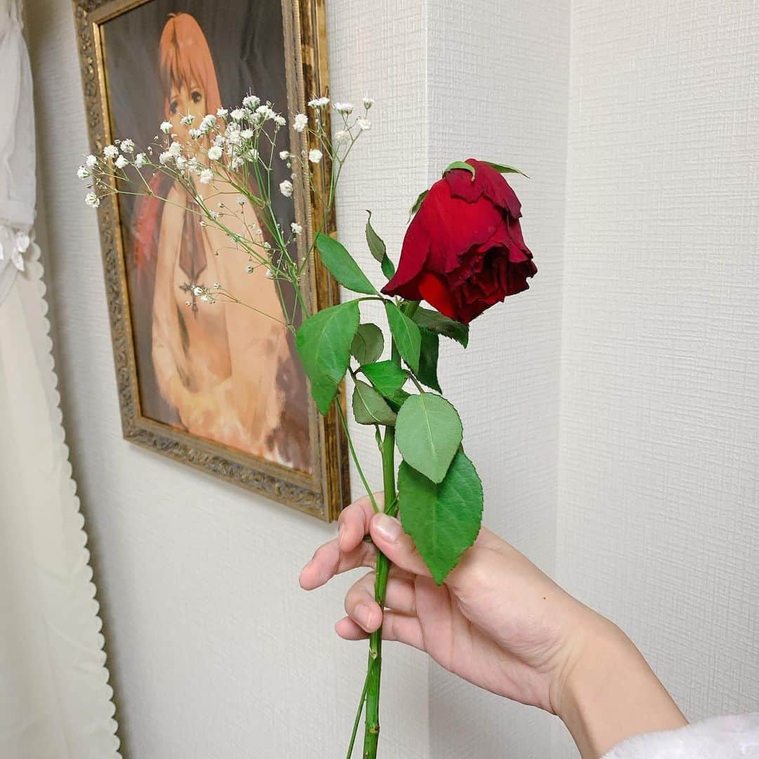 花咲来夢さんのインスタグラム写真 - (花咲来夢Instagram)「枝垂れた薔薇。なんかオシャだなあ🥀 #薔薇」3月28日 12時10分 - raimu_charlotte