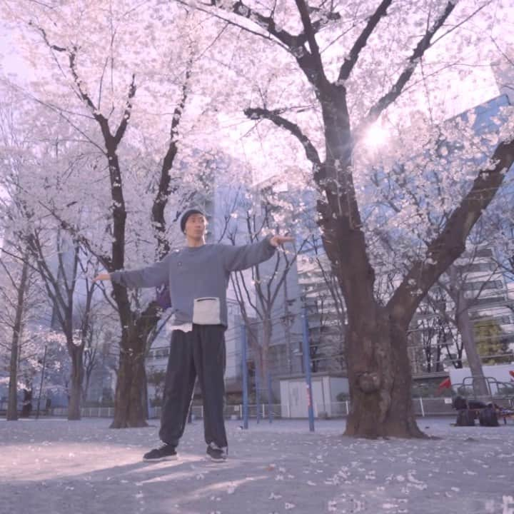 上西隆史（エアフットワークス）のインスタグラム：「We love cherry blossom 🌸  I stay home now, so this is previous clip.  Stay safe everyone, keep going, just do what we can do now, then stay strong. ・ ・ Airdancers 🧞🧞‍♂️ (@takashi_jonishi @hiroandstreet ) B-girl 🧚🏻‍♀️ (@bgirlnao ) ・ ・ ・ 🎵 @zikomobeats Koffee Toast I love his remixes 🎶 ・ ・ ・ 桜の下で踊る🌸 ✂︎−−−−−−−−−−−−−−−−−−−−− #airfootworks #airdance  #japan #streetworkout #calithenics #bodyweighttraining #fitness #abs #shreddedabs #shredded #streetdance #contemporaryart #pioneer #pullup #pullupdance #animationdance  #popping #contemporarydance #breakdance #airflare #breaking  #フィットネス #筋トレ #トレーニング #自重トレーニング #懸垂 #パントマイム #アニメーションダンス #鉄棒ダンス #エアフットワークス @stanceelements」