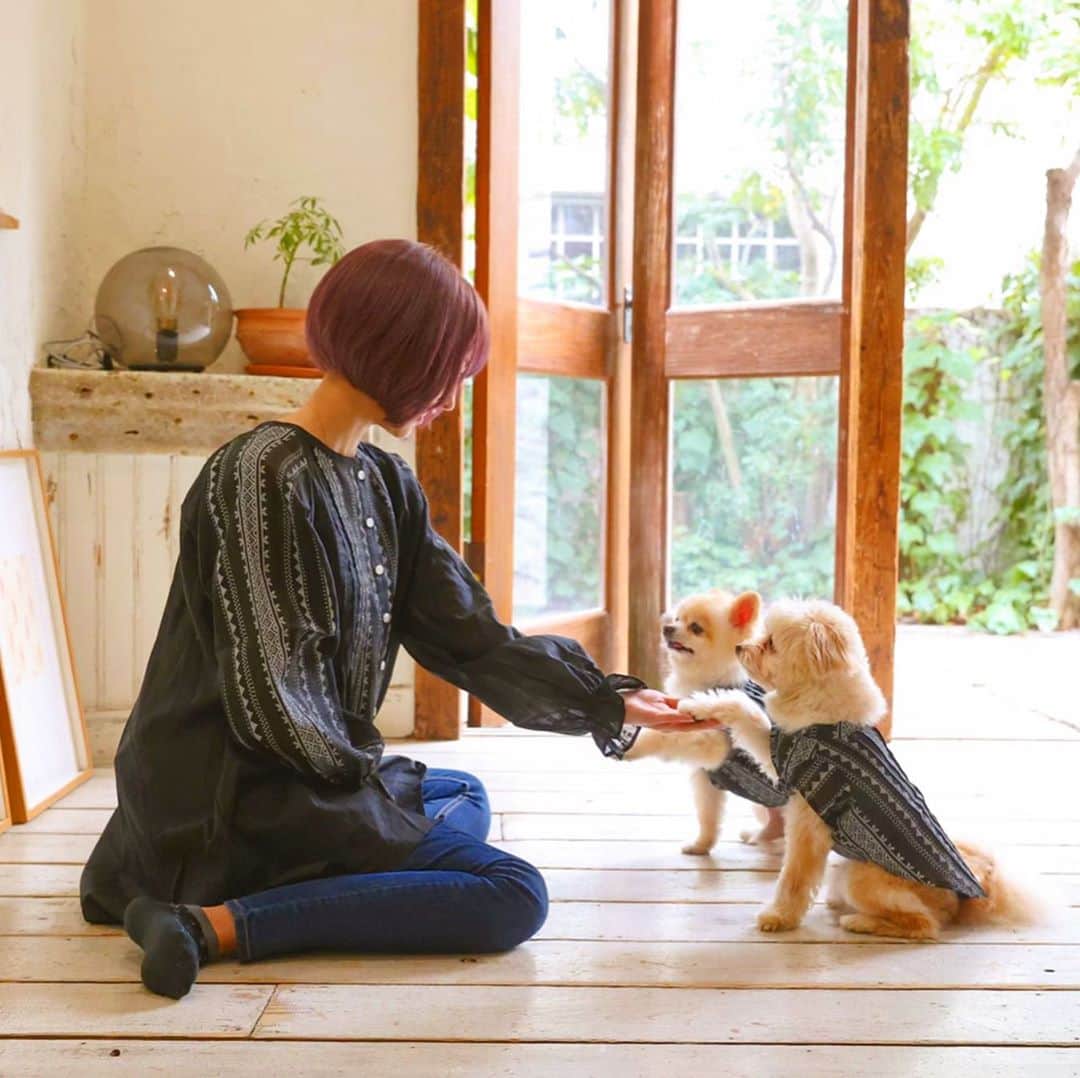 サキ吉さんのインスタグラム写真 - (サキ吉Instagram)「愛犬とお揃いのお洋服🐶💞 @vague_dogwear_official ． ゆめツナ、モデルデビューしたよ🥰💗💗💗 ．  #ポメラニアン #ポメマルプー #親子 #おそろコーデ #リンクコーデ #愛犬との暮らし  #愛犬部  #ドッグウェア」3月28日 12時12分 - sakikichi1201