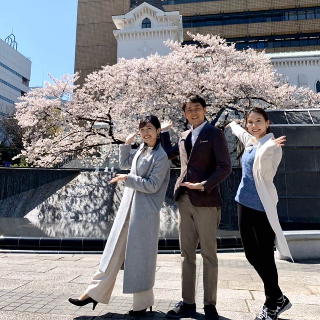 佐藤美樹さんのインスタグラム写真 - (佐藤美樹Instagram)「今年もナビゲーターー3人揃えて嬉しかった🌸 🌸小さな幸せに目を向けて。 今日はお家でゆっくりハマナビご覧下さいね。根岸アナが担当しています♩ 横浜・開港広場の桜🌸③ *-*-*-*-*-*-*-*-*-*-*-*-*-*-*-*-*-* #桜  #桜2020  #横浜  #開港広場公園  #毎年の楽しみ  #ロケ  #リポーター  #ハマナビ  #フリーアナウンサー  #女子アナ  #佐藤美樹  #芦崎愛 たん #根岸佑輔 アナ」3月28日 12時30分 - satomiki0224