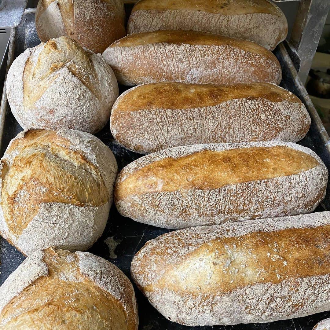 魔女菅原のグルメインスタ