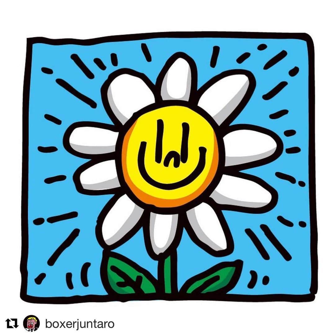宇野薫のインスタグラム：「#Repost @boxerjuntaro with @get_repost ・・・ 花が咲こうと咲くまいと 生きていることが花なんだ！ -アントニオ猪木  #loveispower  #ハートにラブを #今日の名言  #アントニオ猪木 #boxerjuntaro」