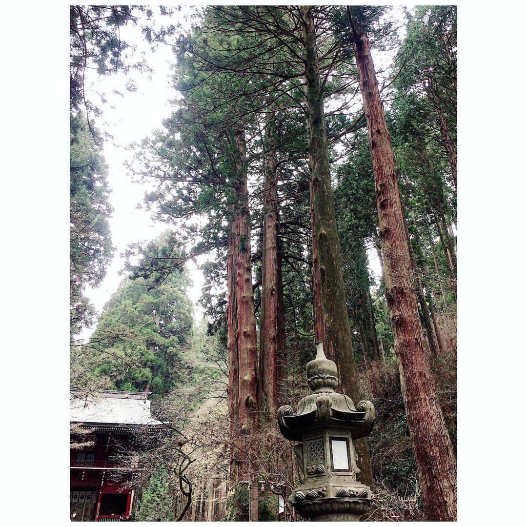 柴田幸子さんのインスタグラム写真 - (柴田幸子Instagram)「茨城ロケ Day.2🎤御岩神社⛩ なんとこちら、宇宙で宇宙飛行士たちが 日本から光の柱が立っているのが見え 場所を調べてみたら御岩神社だったという、、、 そんな逸話があるほどのパワースポット。 * 神仏集合の神社で188柱の神仏を祀っています。 * 色々心配なさなかですが清められた空気に包まれて とてもパワーを纏った気がします。」3月28日 22時14分 - shibata_sachiko