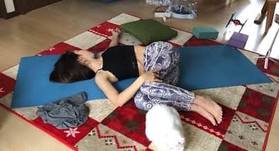 おーせさんのインスタグラム写真 - (おーせInstagram)「オンラインでアメリカに住む先生のレッスンをうけてたらいつも通りにゃんこたちがくる♡♡ yoga with cat  体がめっちゃ伸びたー！！！」3月28日 22時32分 - oosedon