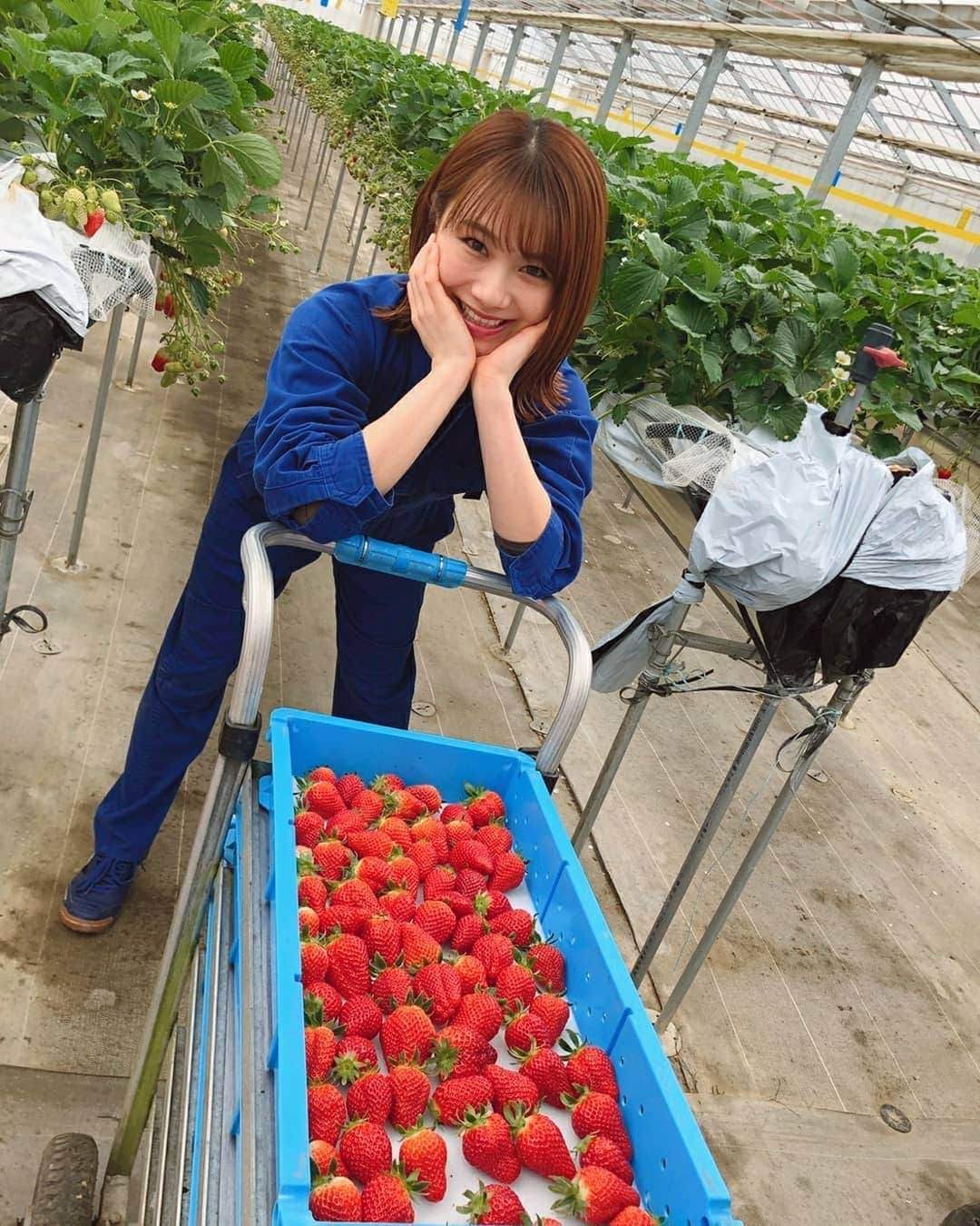 石田亜佑美のインスタグラム