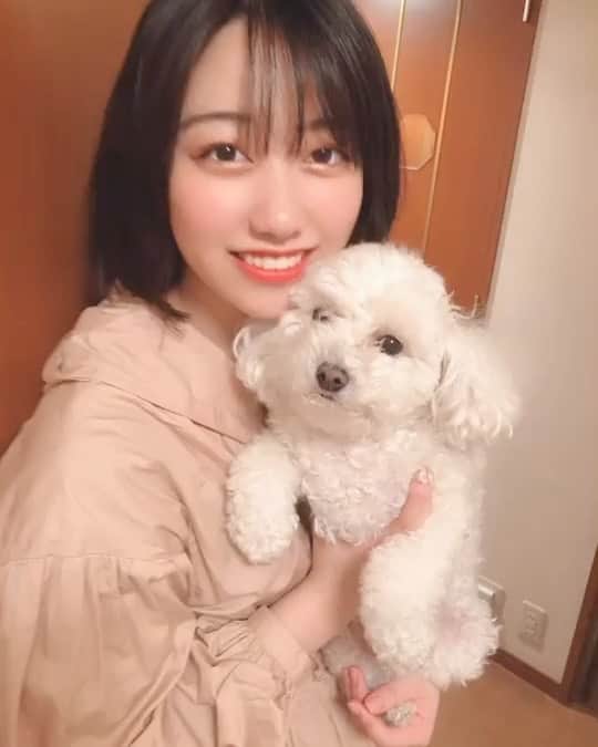 こぶしファクトリーのインスタグラム：「#kobushi_factory」