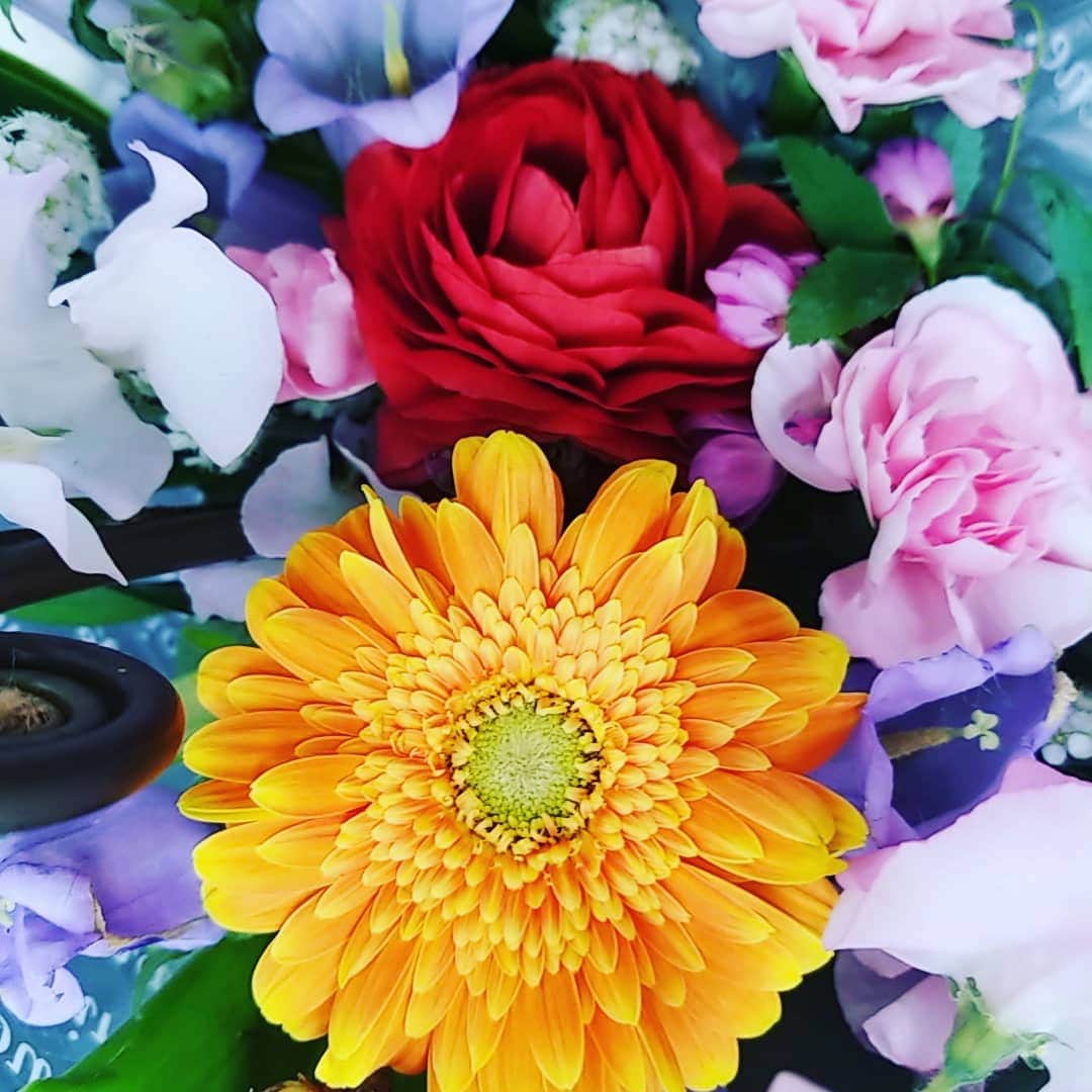 谷口キヨコのグルメインスタ