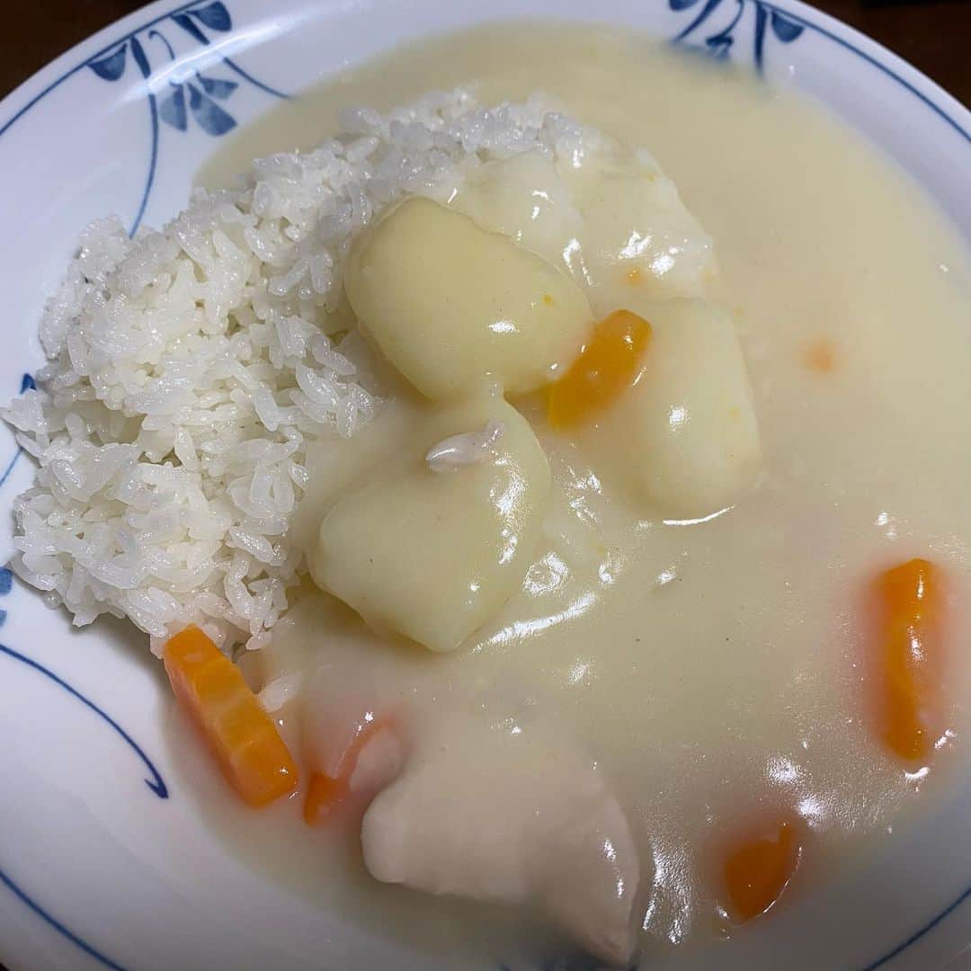 カバのインスタグラム：「‪本日のでぶ活。‬ ‪2日目のシチューは自然とこうしてまうんですよ。ごつ目の具が良いでしょ？‬ ‪あぁ、痩せたい！‬ . . #本日のでぶ活 #でぶ活 #2日目のシチュー #自然とこうなる #ごつ目の具 #あぁ、痩せたい」
