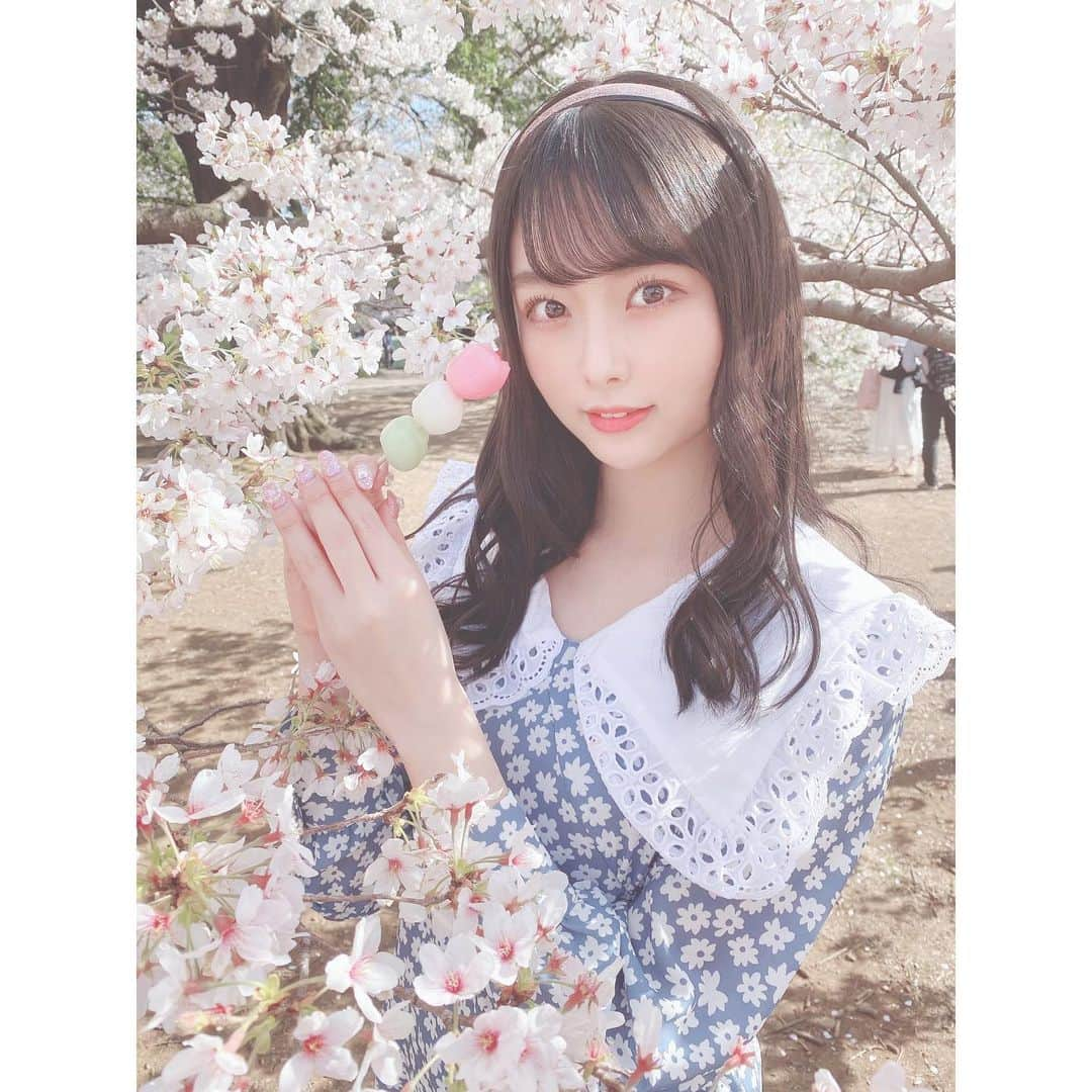 達家真姫宝さんのインスタグラム写真 - (達家真姫宝Instagram)「花より団子　#桜 #団子 #新宿御苑」3月28日 23時10分 - makiho_official