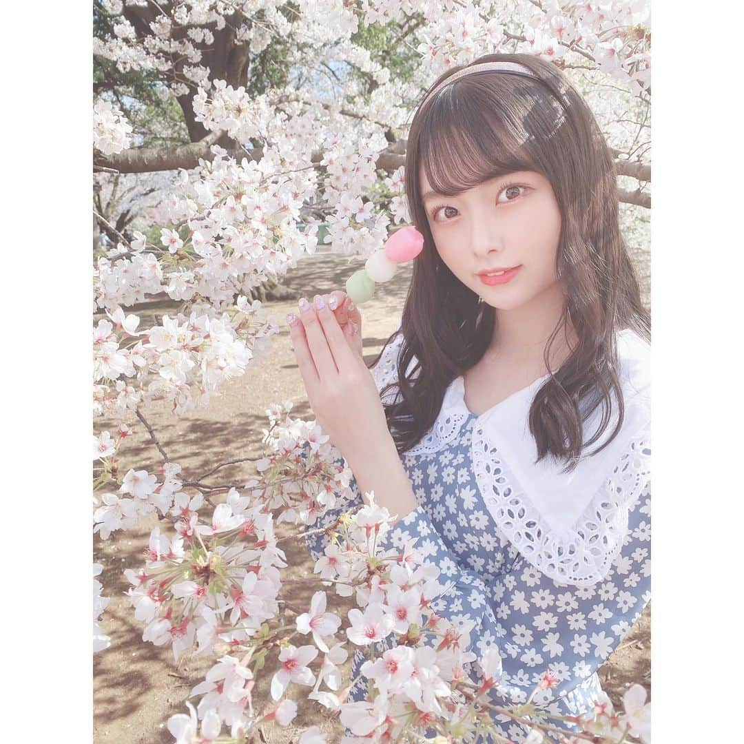 達家真姫宝さんのインスタグラム写真 - (達家真姫宝Instagram)「花より団子　#桜 #団子 #新宿御苑」3月28日 23時10分 - makiho_official