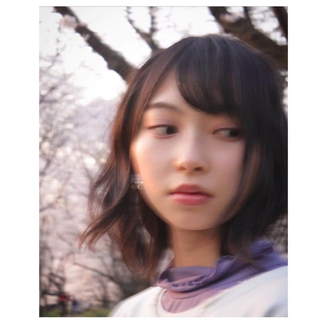 辻野かなみのインスタグラム：「❤︎﻿ ﻿ みんな何してるの〜？😊﻿ ﻿ ブログには載せたけど…﻿ ﻿ 「かなみんのYouTuberごっこ💙」﻿ ﻿ Instagramにも載せてみた💟﻿ ﻿ Switchのあつ森編です😆﻿ 観てみてね✨﻿ ﻿ ﻿#桜 #ちょっとブレてるけどそれはそれであり？笑 #instagood #instalike #followme」