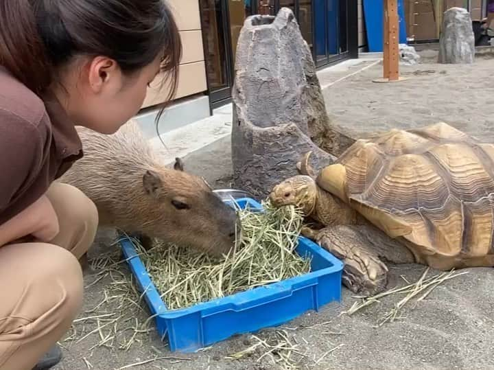 【公式】東京コミュニケーションアート専門学校ECOのインスタグラム