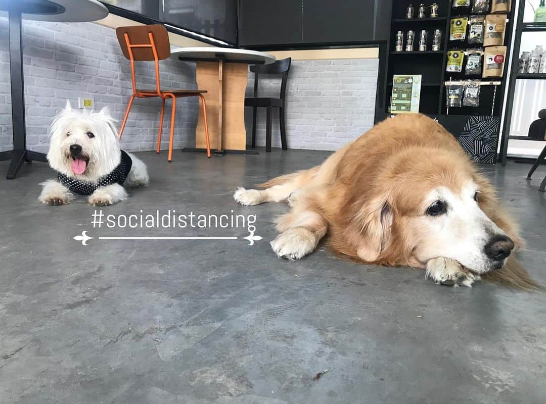 Hoykong&Plamuekのインスタグラム：「Stay strong everyone.  หวังว่าทุกคนคงสบายดีนะคับ #socialdistancing #covid19 #hkpm」