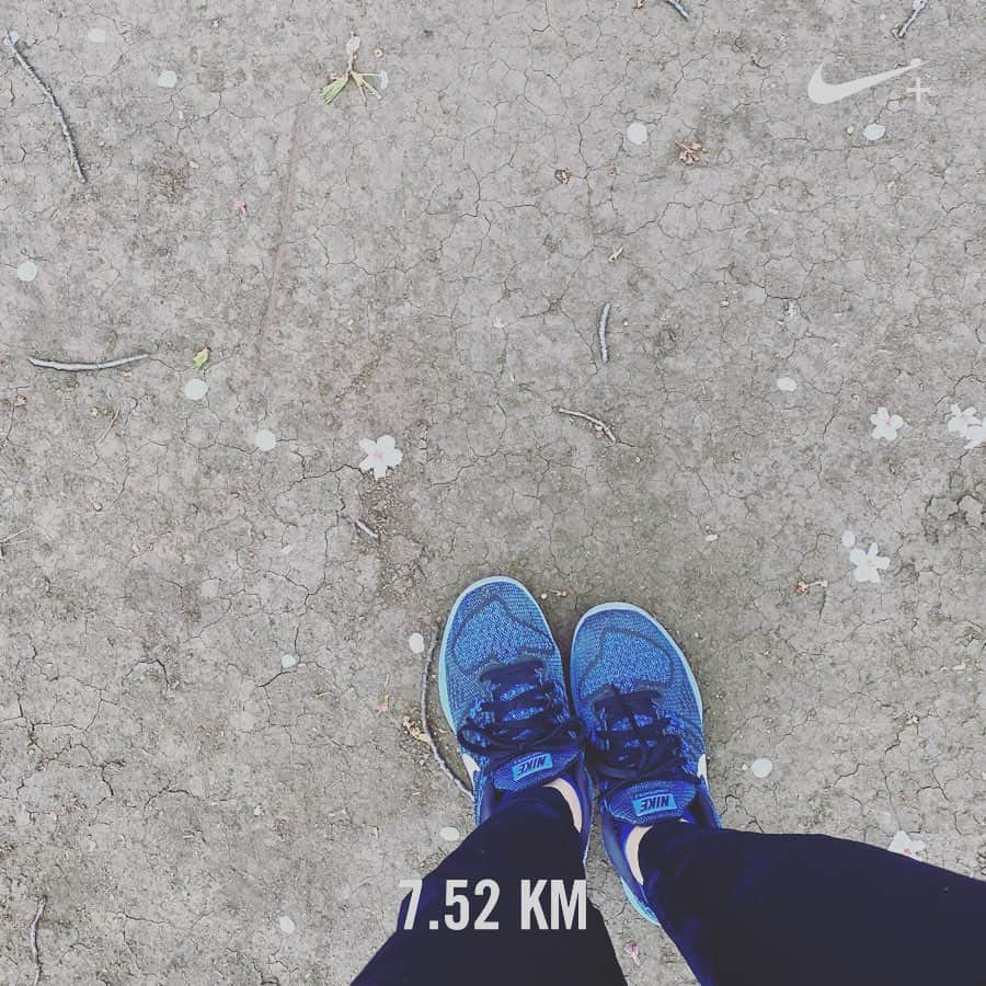 石榑亜紀子さんのインスタグラム写真 - (石榑亜紀子Instagram)「ランニング7.5キロ🏃‍♀️👟 週末、自粛要請が出ている東京ですが…  ご近所ランニングとかはいいんですよね？…あれ？？汗  風が強かったです あした雪が降るのが信じがたいほど 生温い風でした  桜も見納めかな…🌸 #桜　#お花見ラン　#お花見　#外出自粛　#朝ラン #ラン二ング #ランニング女子 #ランニング好きな人と繋がりたい #ぼっちラン #instarun #run #runner #running #nrc #nrctokyo #ラン活 #ダイエット #ジョギング #ランナー #ランニング部  #走る気象予報士 #アスリートフードマイスター2級  #🏃‍♀️ #ランスタグラム #ハシリマシタグラム #0歳 #生後10ヶ月  #赤ちゃんのいる暮らし #新米ママ #赤ちゃんのいる生活」3月28日 15時44分 - guregure_46