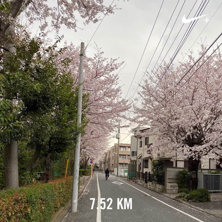 石榑亜紀子さんのインスタグラム写真 - (石榑亜紀子Instagram)「ランニング7.5キロ🏃‍♀️👟 週末、自粛要請が出ている東京ですが…  ご近所ランニングとかはいいんですよね？…あれ？？汗  風が強かったです あした雪が降るのが信じがたいほど 生温い風でした  桜も見納めかな…🌸 #桜　#お花見ラン　#お花見　#外出自粛　#朝ラン #ラン二ング #ランニング女子 #ランニング好きな人と繋がりたい #ぼっちラン #instarun #run #runner #running #nrc #nrctokyo #ラン活 #ダイエット #ジョギング #ランナー #ランニング部  #走る気象予報士 #アスリートフードマイスター2級  #🏃‍♀️ #ランスタグラム #ハシリマシタグラム #0歳 #生後10ヶ月  #赤ちゃんのいる暮らし #新米ママ #赤ちゃんのいる生活」3月28日 15時44分 - guregure_46