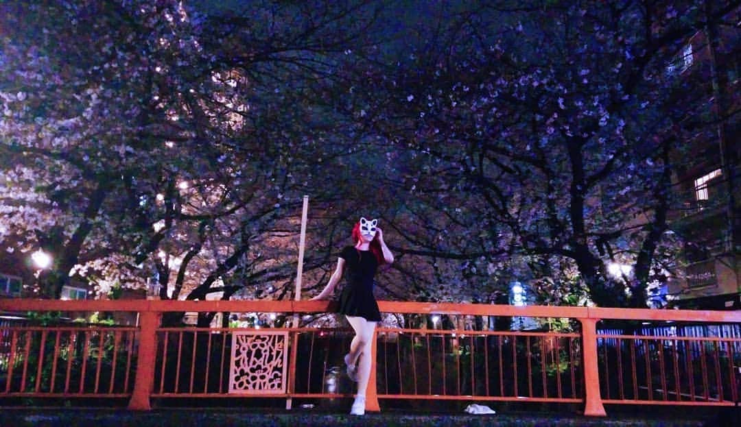 Saiのインスタグラム：「Cherry blossoms in Naka Meguro 🌺💕 . . . #nakameguro #sakura #中目黒　#桜」