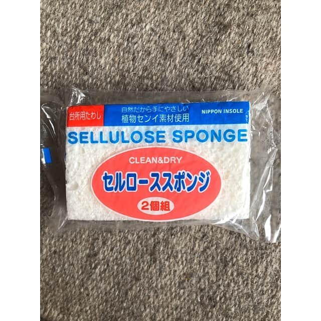 加藤紀子のインスタグラム：「長らくキッチンスポンジ探しの旅に出ておりましたが、ようやく納得して使える物と出会えました✌️ 少量の洗剤で汚れを落としてくれて、 耐久性も良し（ヨボヨボになるのが遅い）、 さらにはさよならした後は土に還るって👏。 食器だけじゃなく コンロ周りまでスイーっと拭けて 楽々スッキリ。 おこもり時間を使ってまだまだピカピカにするぞー💪  #セルローススポンジ  #泡立ちすぎない #自然に戻るスタイル素敵」
