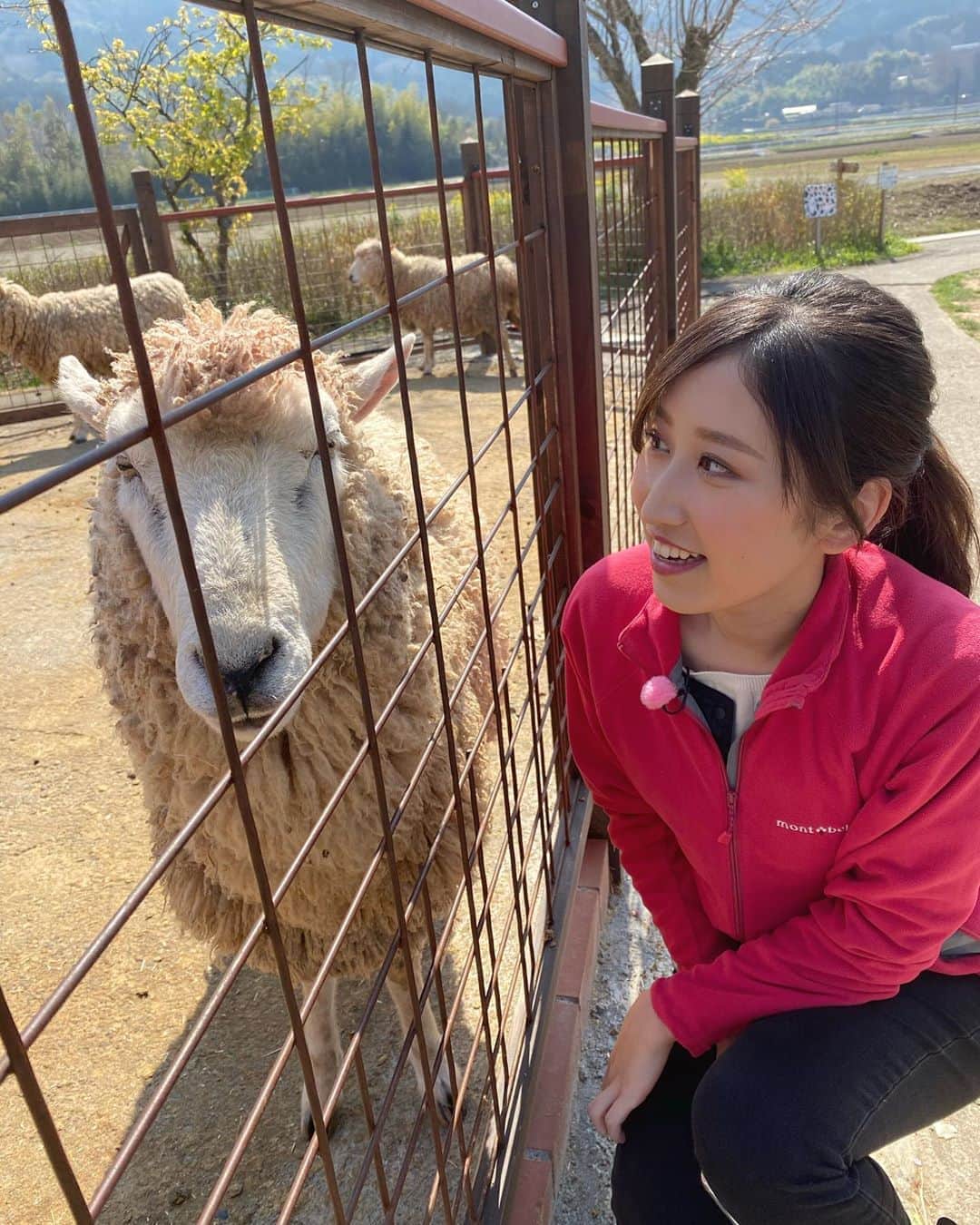 臼井佑奈のグルメインスタ